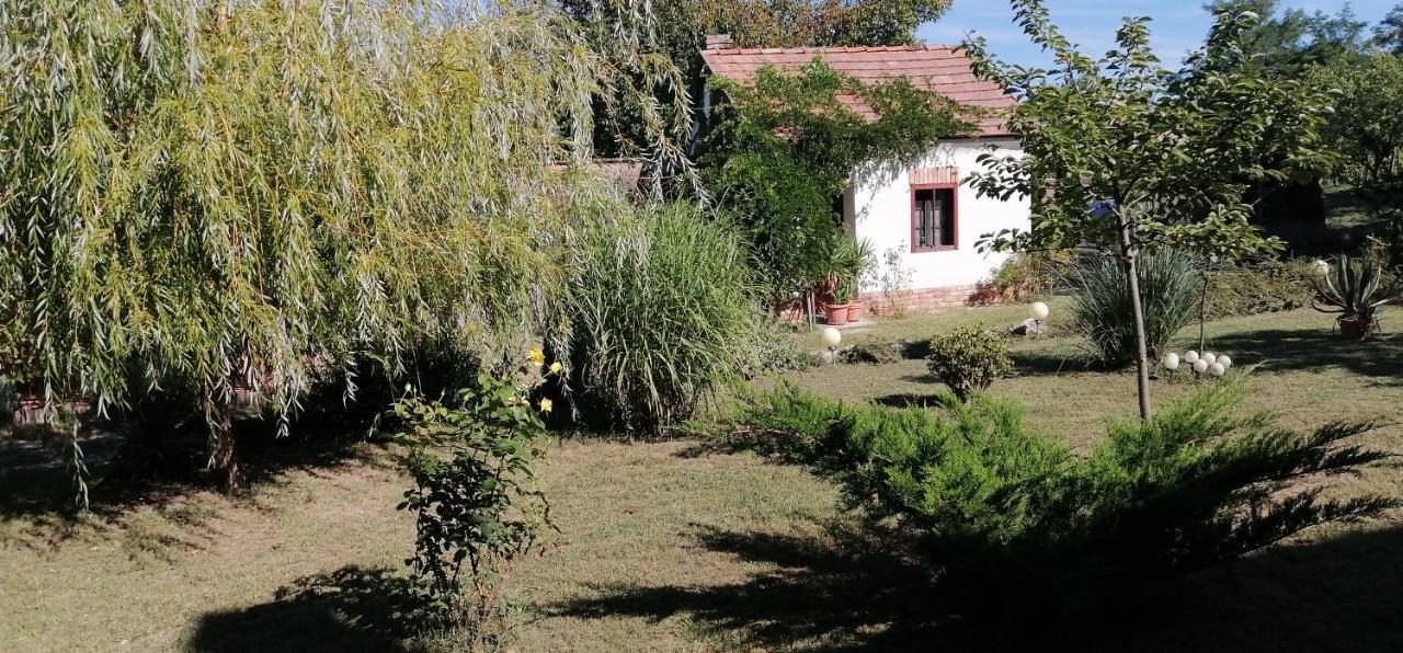 Rendeki Vendégház, ÖNÁLLÓ ház Hotel Csabrendek Kültér fotó