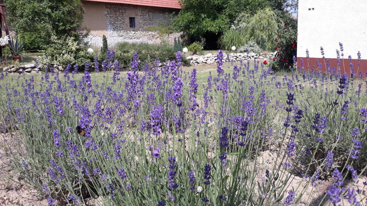 Rendeki Vendégház, ÖNÁLLÓ ház Hotel Csabrendek Kültér fotó